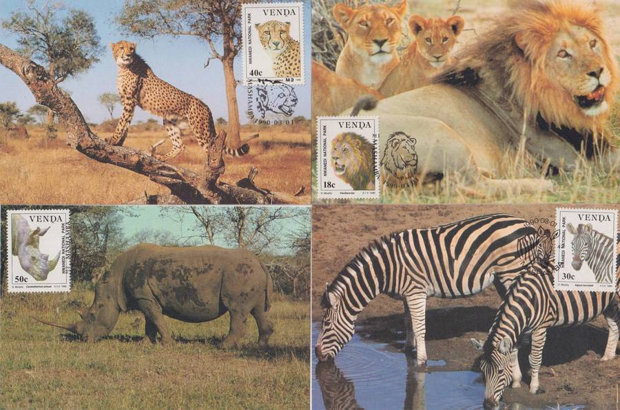 Maxi Card Set of 4 1990 Nwanedi National Park