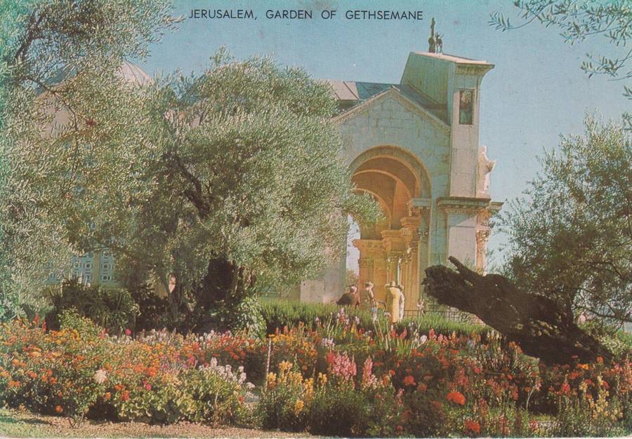 Post Cards / Maxi Card