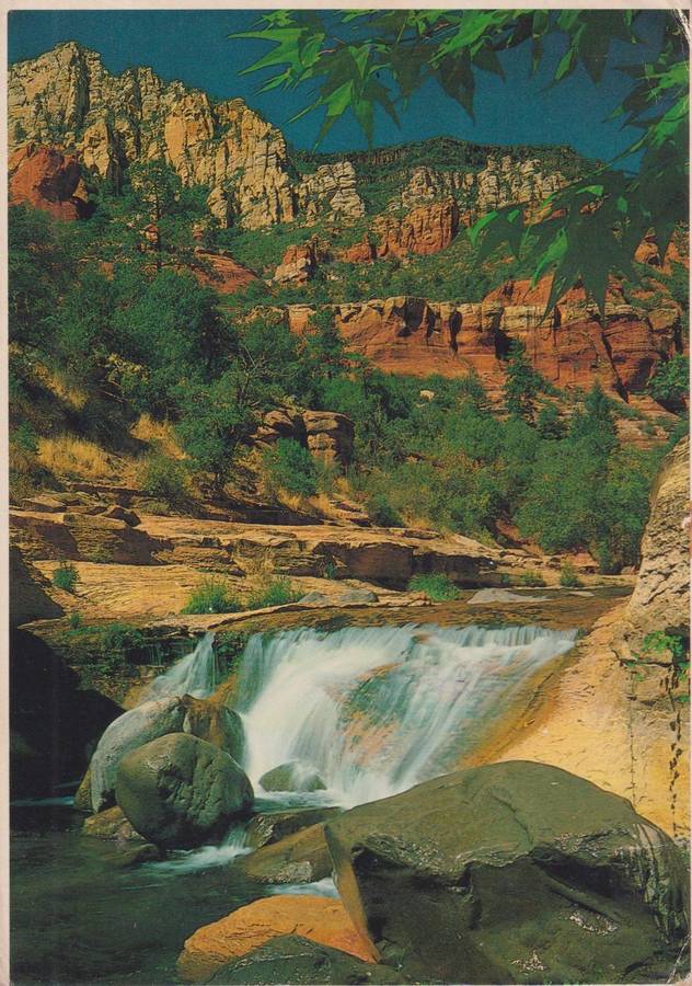 Post Cards / Maxi Card