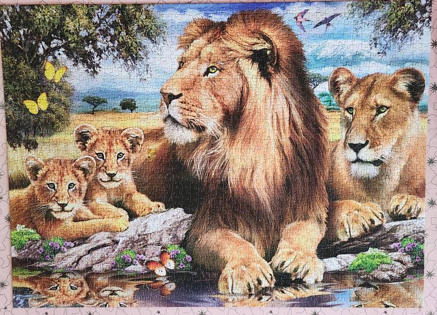 Puzzle - Lions