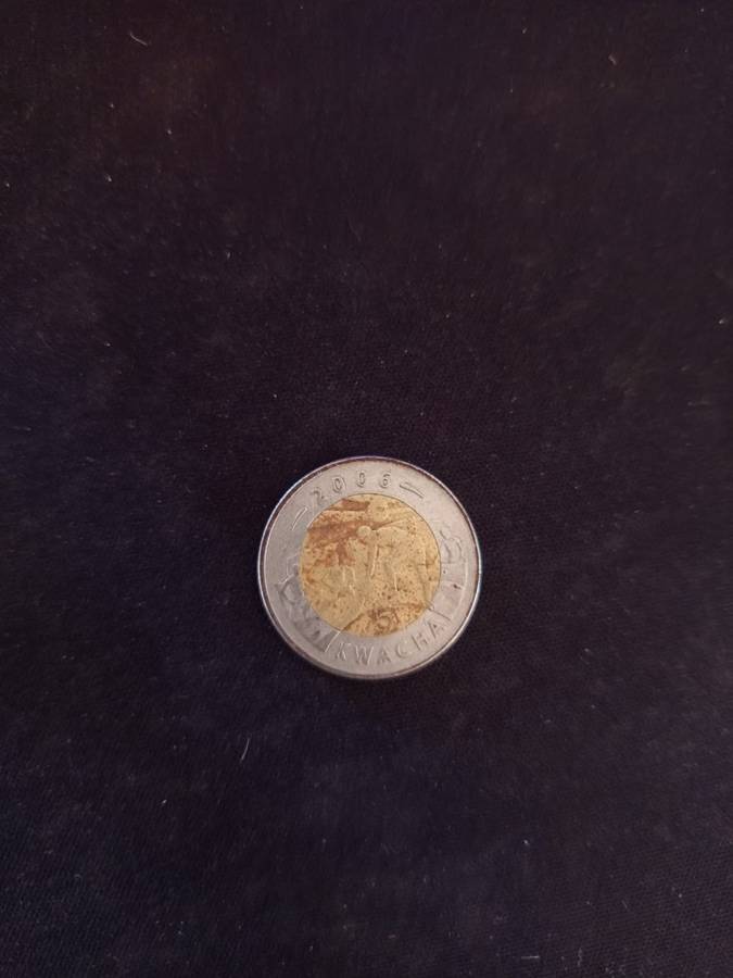 Coin Collection