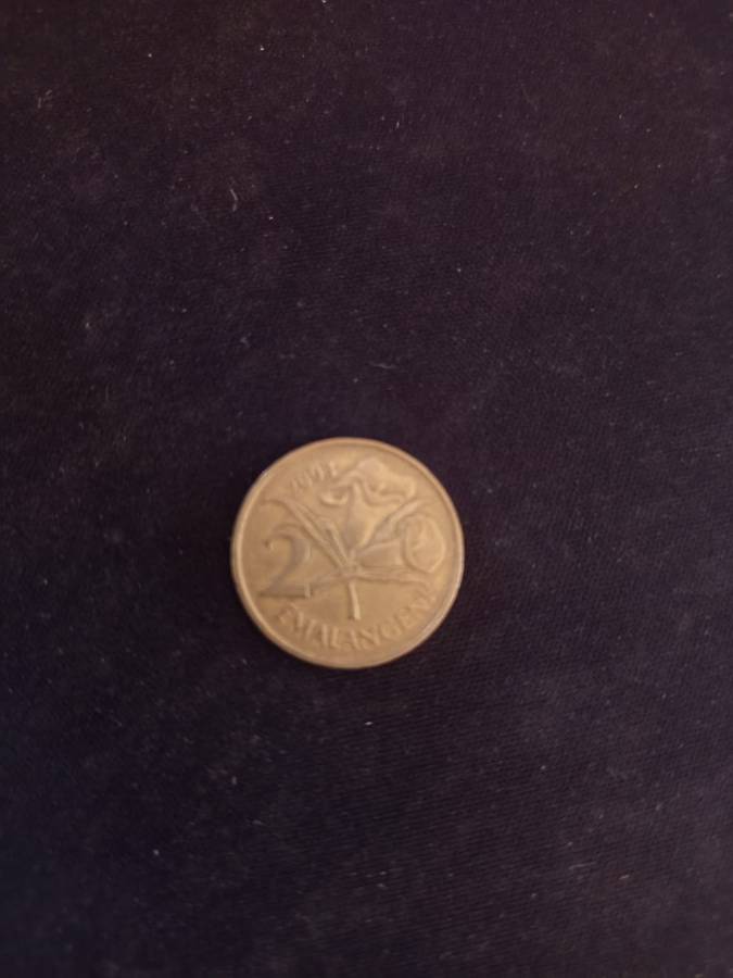 Coin Collection