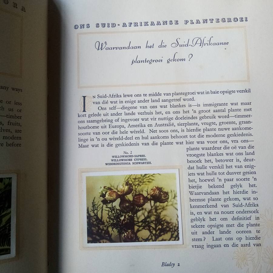 Our South African Flora" by R.H. Compton  Guide to South African Plant Life  Bilingual Edition