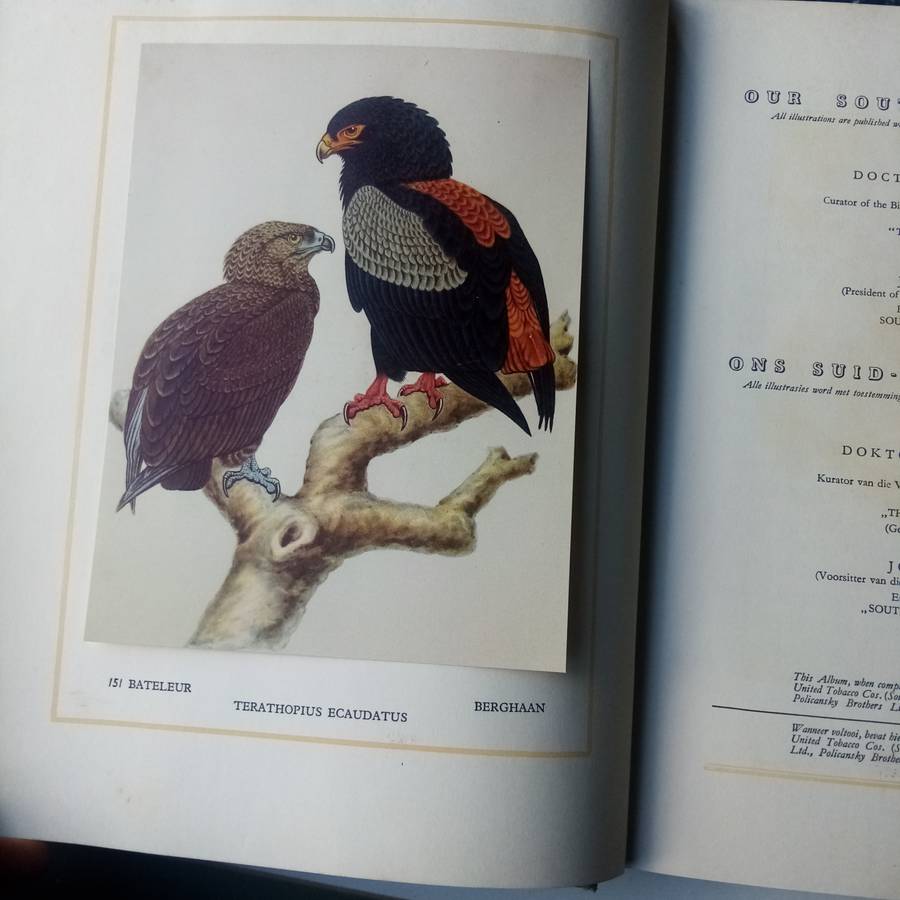 Our South African Birds  Ons Suid-Afrikaanse Voëls"  Comprehensive Guide with Stunning Illustratio