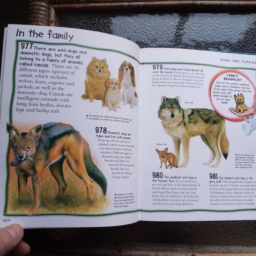 Over 1000 Fantastic Animal Facts - Amazing Wildlife Knowledge for Kids