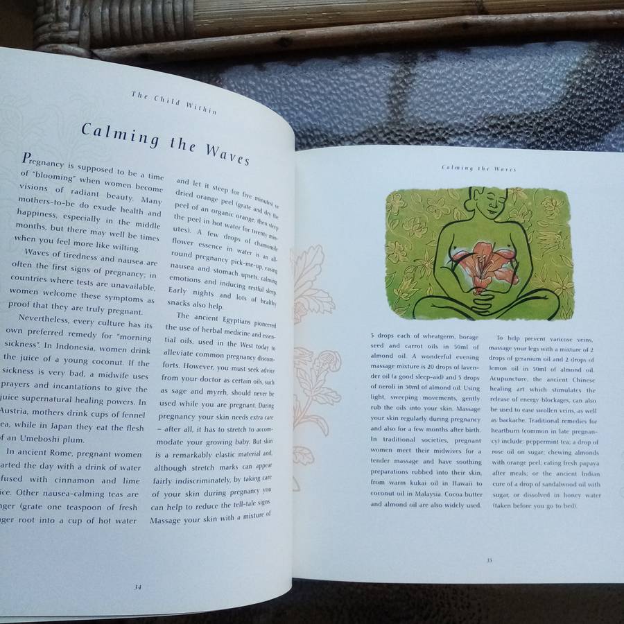 Embrace Motherhood: "Wild Child" by Deborah Jackson  Wisdom for Pregnancy and Birth (B)