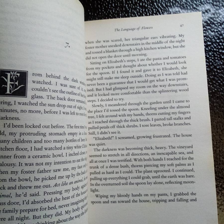 The Language of Flowers by Vanessa Diffenbaugh  A Touching Tale of Love and Healing