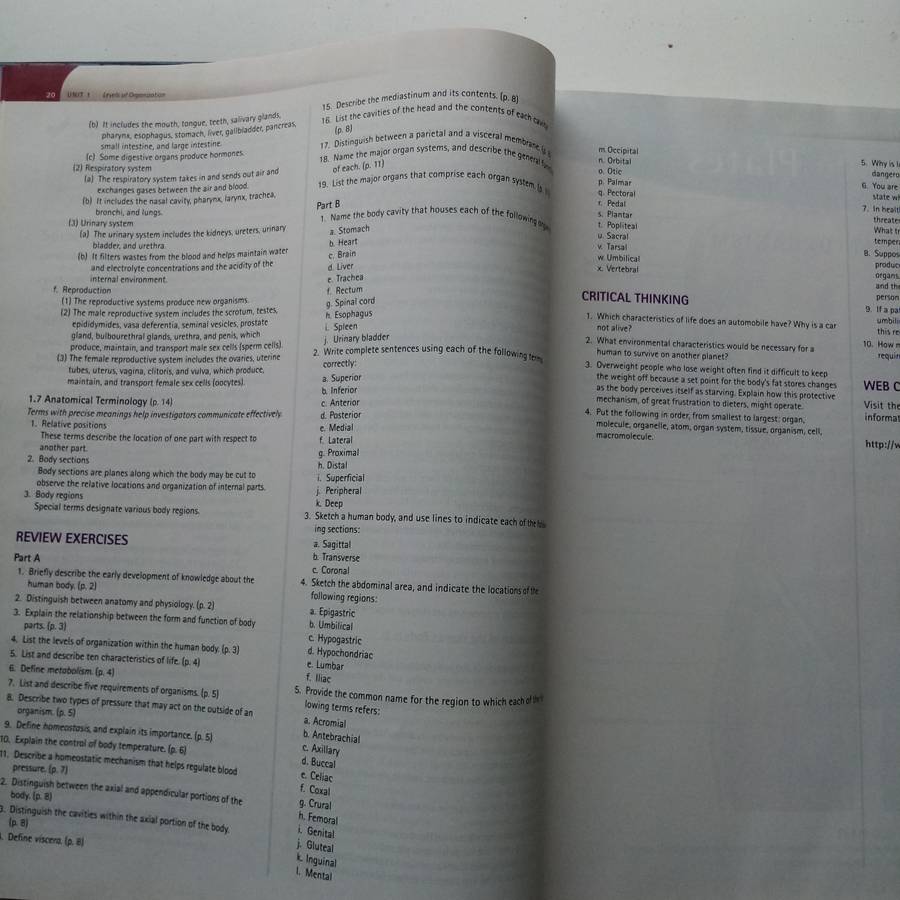 Hole's Essentials of Human Anatomy and Physiology by David N. Shier | Comprehensive Textbook