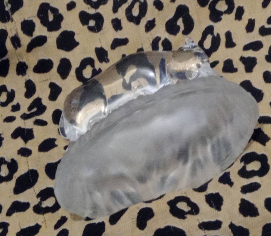 Beautiful Decorative Wild Boar Hog Glass Sculpture/ Paperweight . Collectable