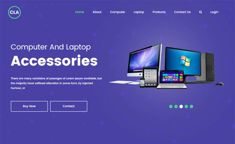 Computer Dropship Business +Company Reg +Website +Products