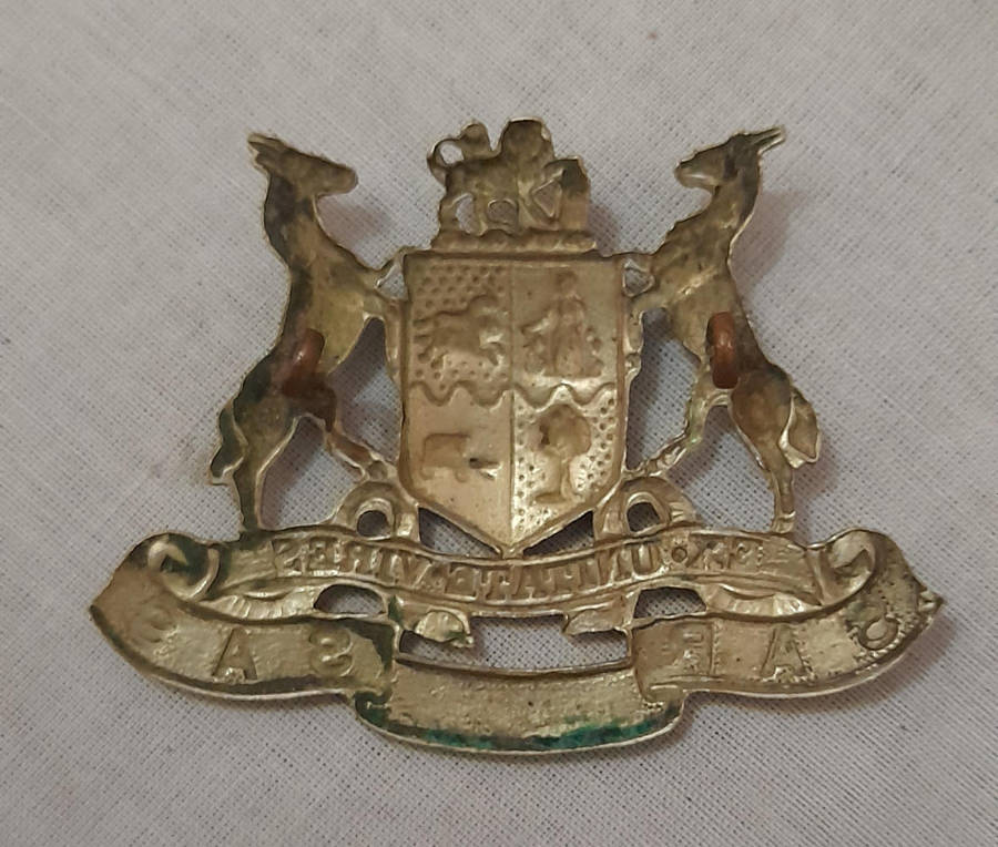 SAR / SAS Railway Cap Badge