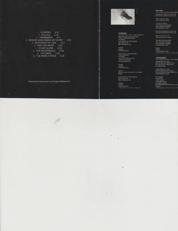 JULEE CRUISE, FLOATING INTO THE NIGHT CD