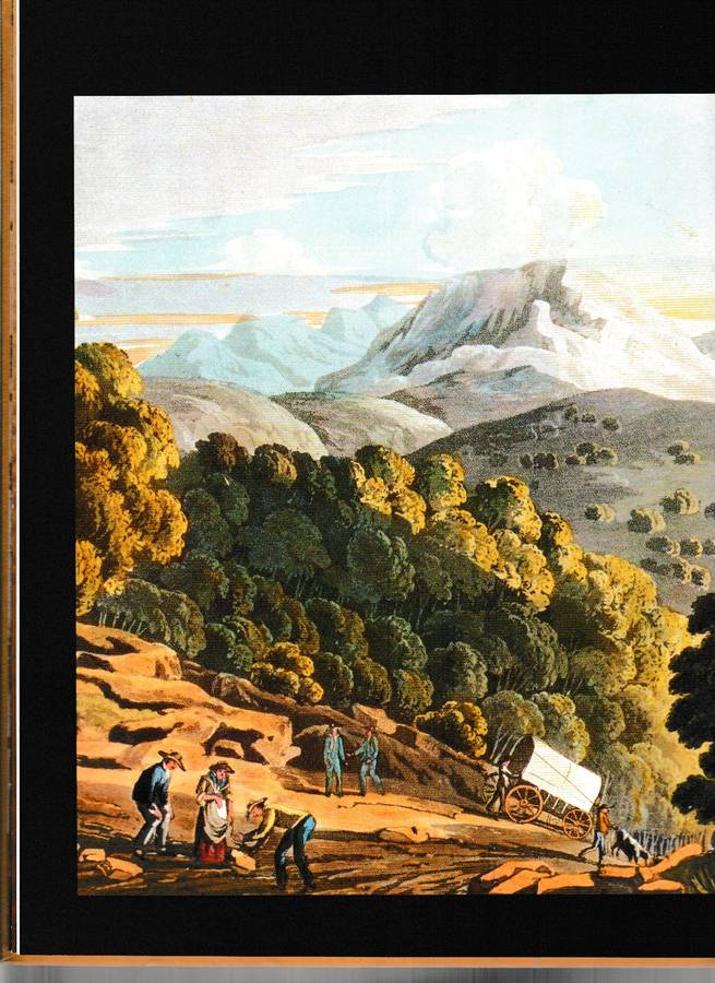 PLETTENBERG BAY, AND THE PARADISE COAST by PATRICIA STORRAR