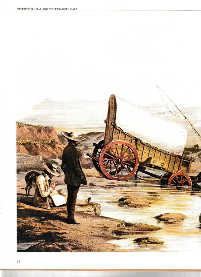 PLETTENBERG BAY, AND THE PARADISE COAST by PATRICIA STORRAR