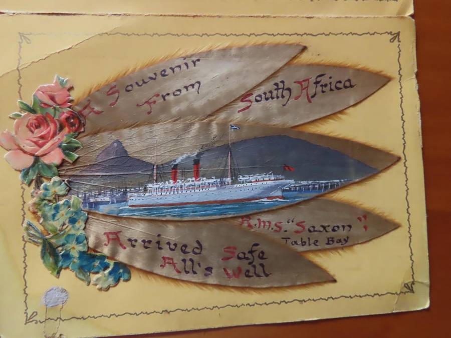 Silver Leaves (Everlasting) From Table Mountain - with arrival of R.M.S. Saxony