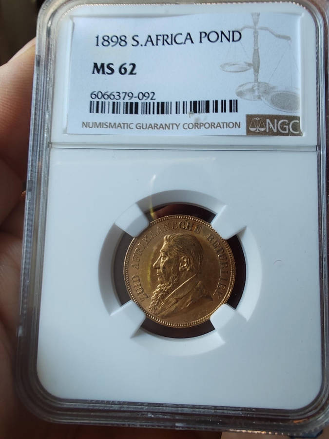 1898 Zuid-Afrikaansche Republiek (ZAR) Gold 1 Pond  NGC MS62