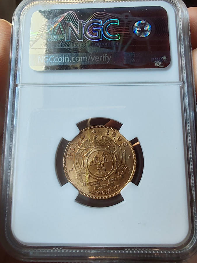 1898 Zuid-Afrikaansche Republiek (ZAR) Gold 1 Pond  NGC MS62