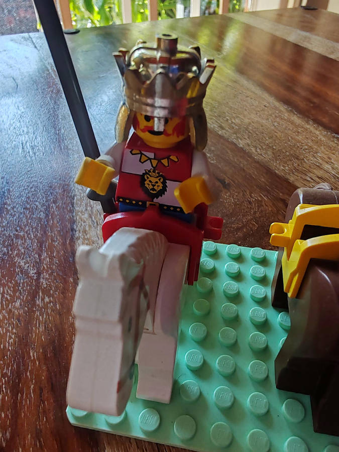Vintage LEGO Castle Horse Lot  Includes Royal King & Armored Horses