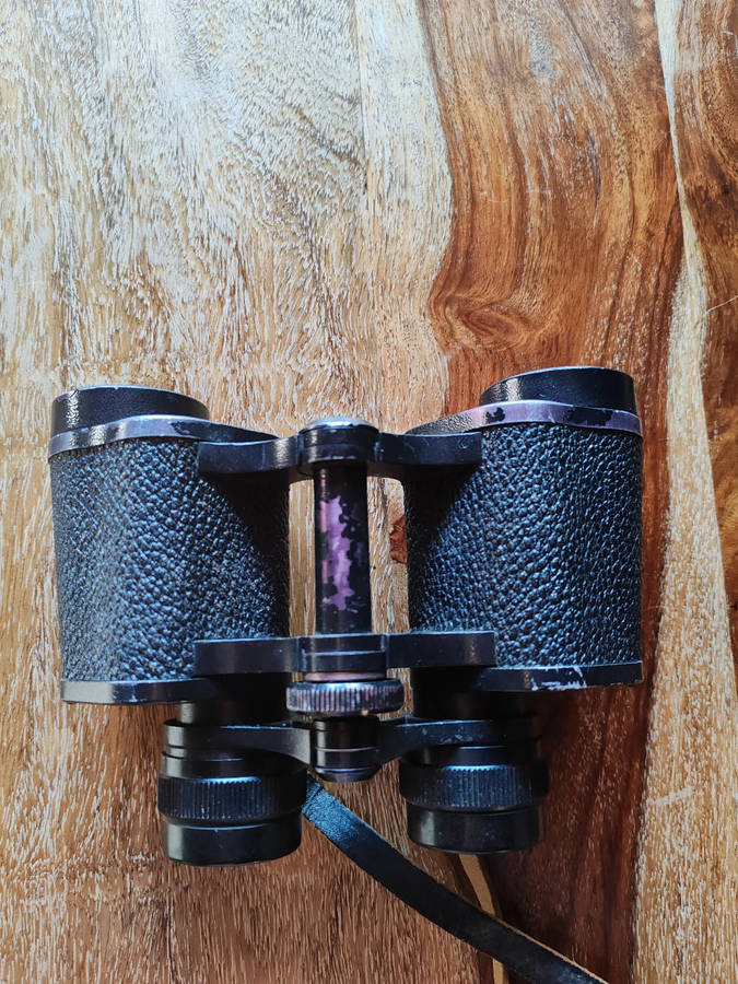 Vintage Carl Zeiss Jena Jenoptem 8x30 W Binoculars  Fully Functional