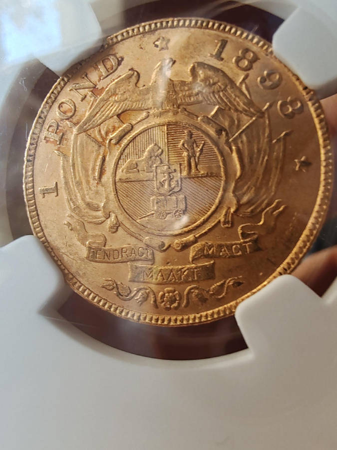 1898 Zuid-Afrikaansche Republiek (ZAR) Gold 1 Pond  NGC MS62