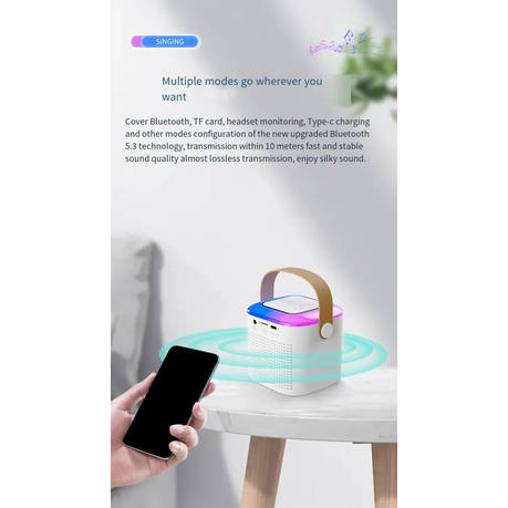 Bluetooth Karaoke HiFi Stereo Retro Portable Speaker Cool RGB Lights