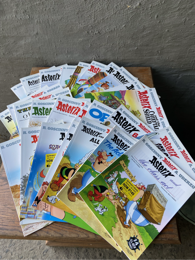 Asterix Comic Books (28 books)