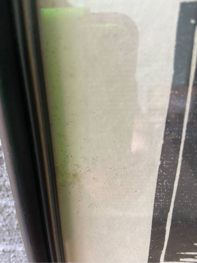 Gregoire Boonzaier Lithograph 1978