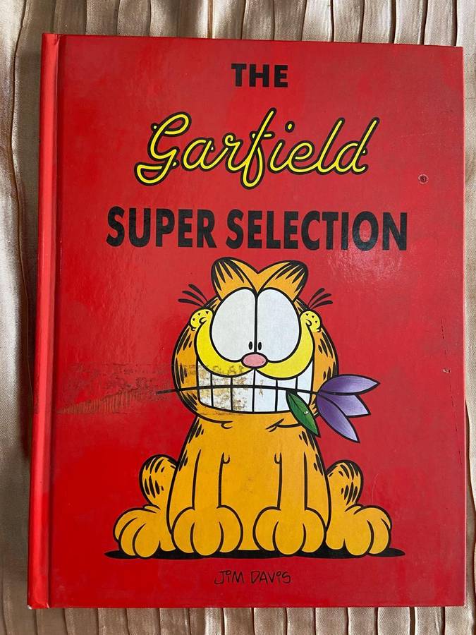 Garfield Books, Lot 5 Of 13
