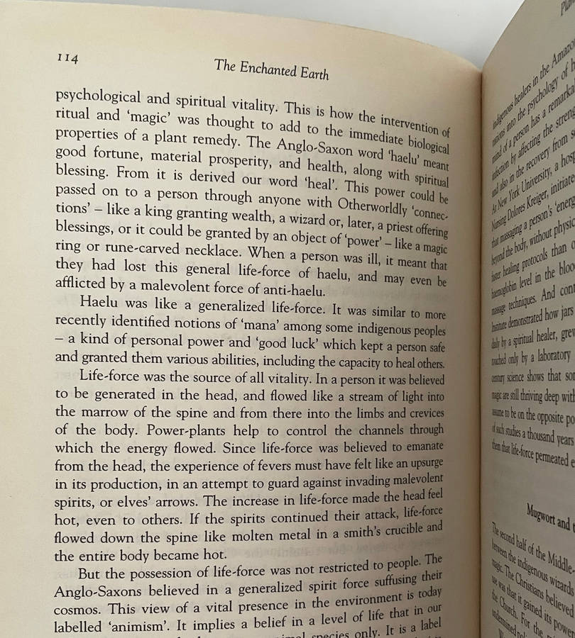 The Real Middle-Earth by Brian Bates  Hardcover  The Magic & Mystery That Inspired Tolkien