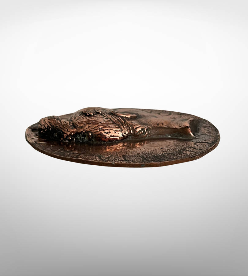 Rare 1828 bronze medallion by David dAngers  featuring Italian soprano Giuditta Pasta. Museum-wort