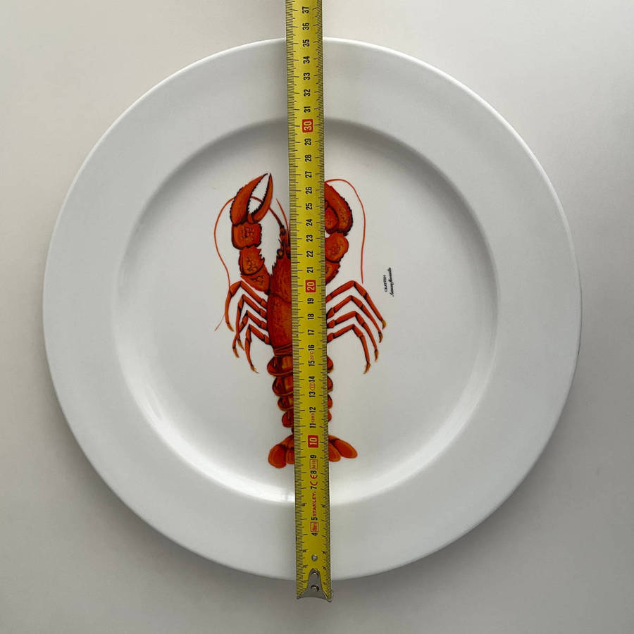 Boardmans Essence Porcelain Lobster/Crayfish Serving Platter  36 cm  Dishwasher, Oven & Microwave