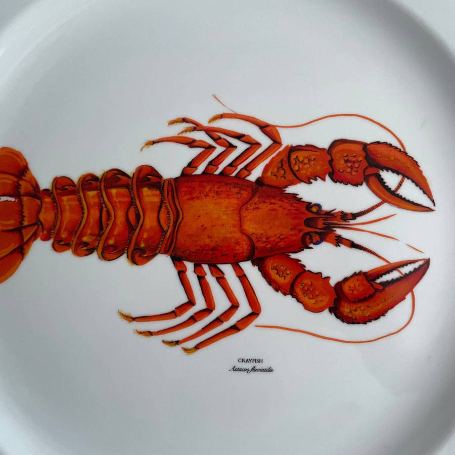Boardmans Essence Porcelain Lobster/Crayfish Serving Platter  36 cm  Dishwasher, Oven & Microwave
