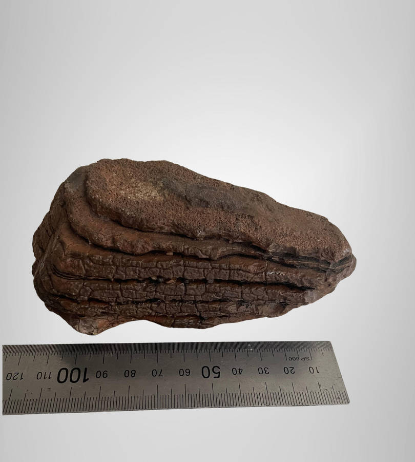 Reserved - Mixed Lot of Crystals & Mineral Specimens  Rose Quartz, Pyrite & More  Sold As Is