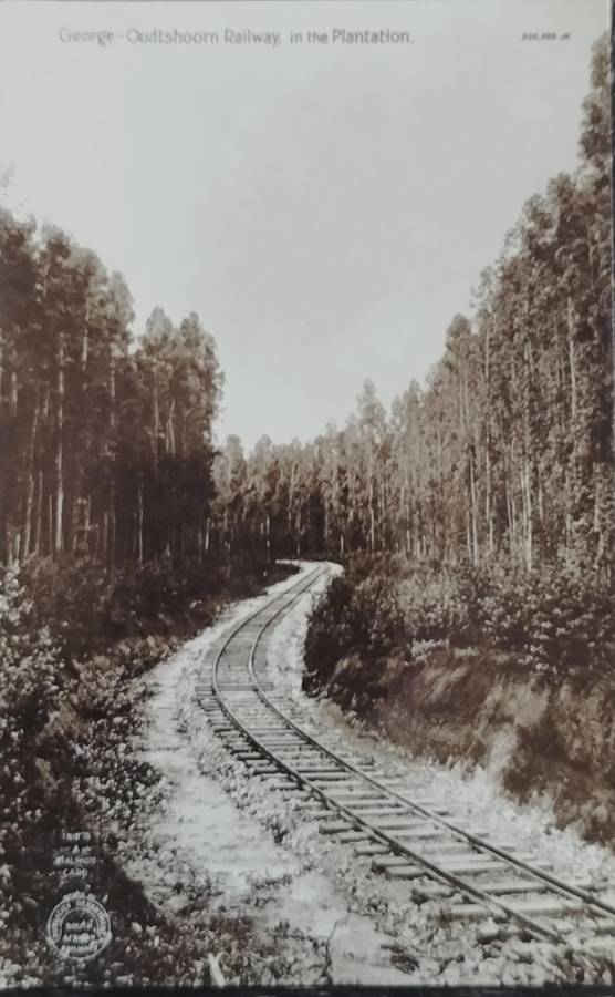 Vintage Post card - South Africa - George Oudtshoorn railway line