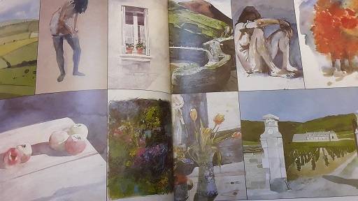 Books : Step by Step Art School in colour  , Patricia Monahan - hardcover