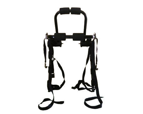 Bicycle Carrier