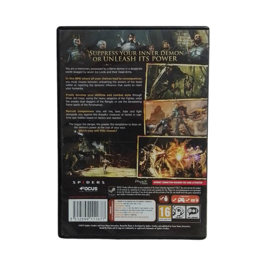 Bound By Flame PC (DVD)