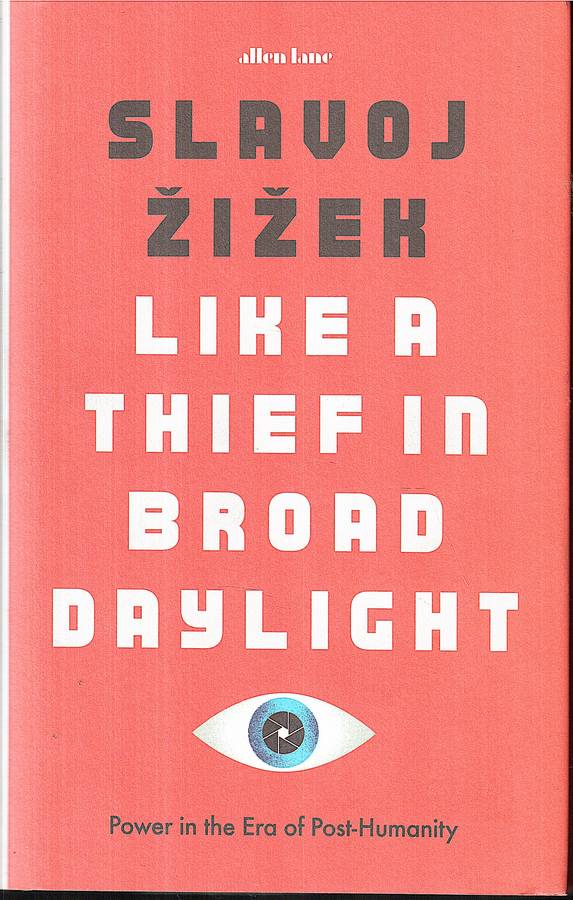 Like a Thief in Broad Daylight: Power in the Era of Post-Humanity - Slavoj Zizek