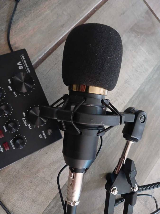 Profesional mic/live sound card