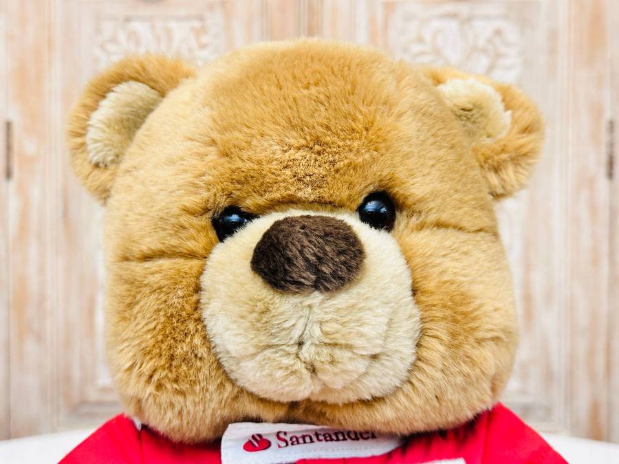 Official Scuderia Ferrari Large Vintage Collectable F1 Team Teddy Bear