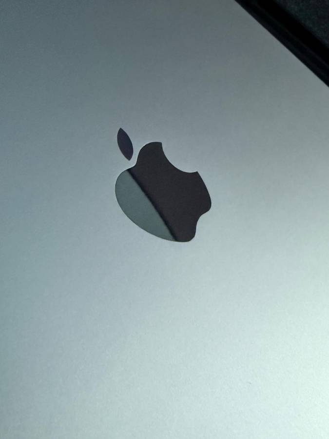 Ipad Pro 12.9 (512GB/Wifi+Cellular)