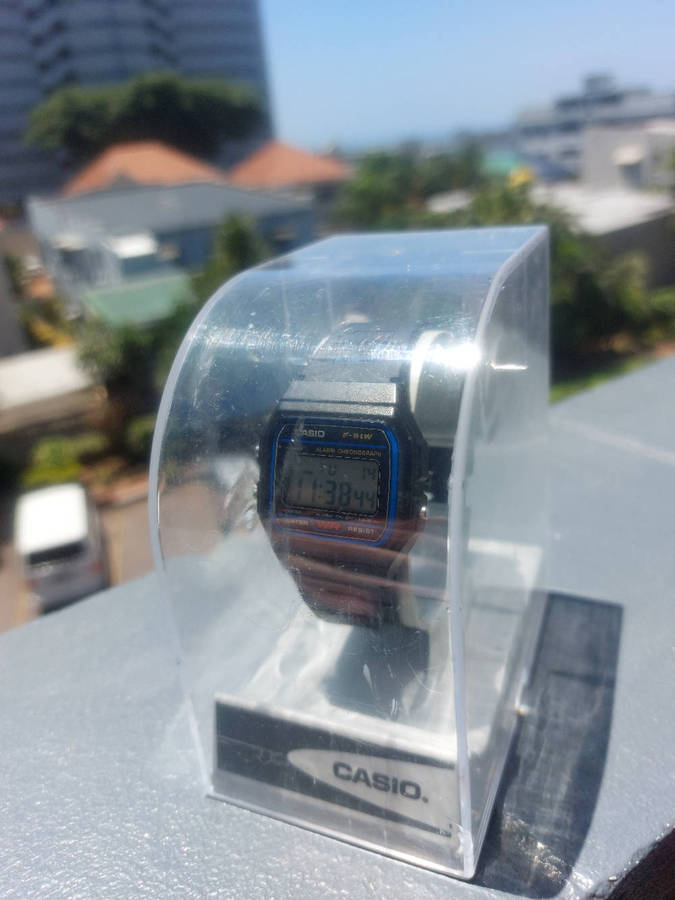 Casio F-91W digital watch