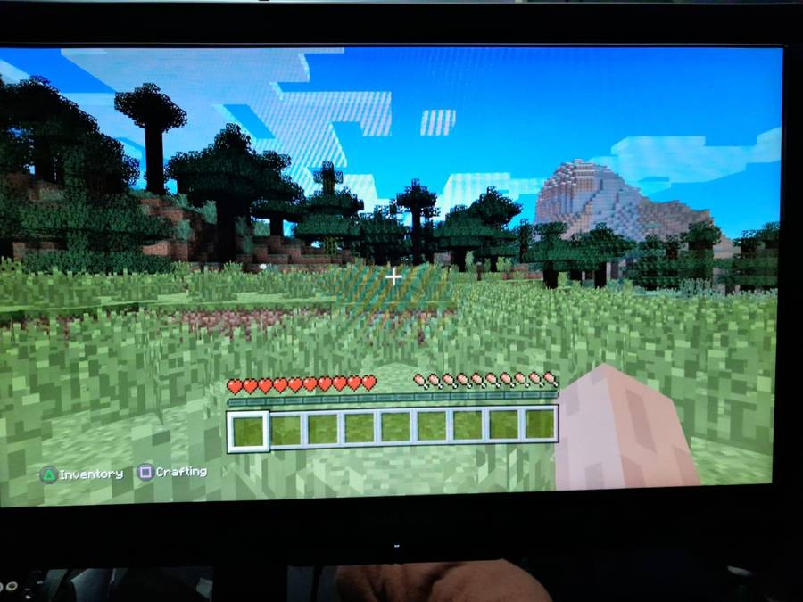 Minecraft Playstation 3 Edition (Ps3)