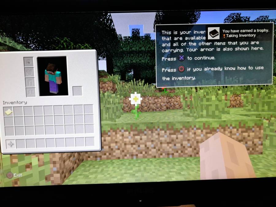 Minecraft Playstation 3 Edition (Ps3)