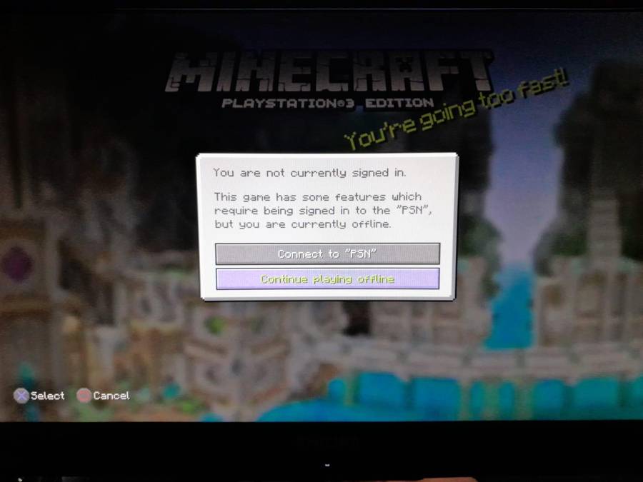 Minecraft Playstation 3 Edition (Ps3)