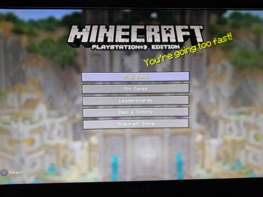 Minecraft Playstation 3 Edition (Ps3)