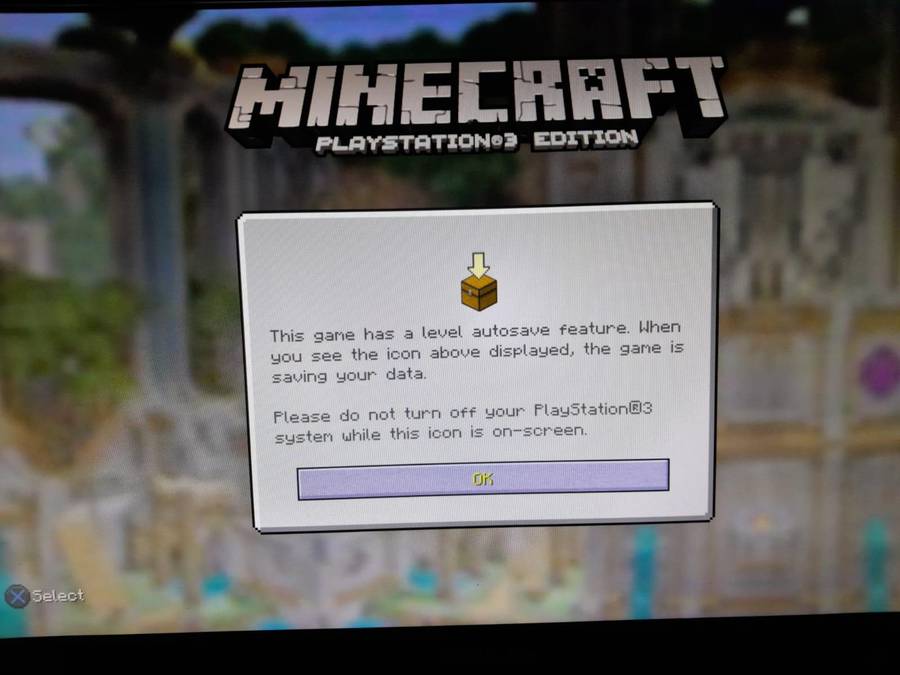 Minecraft Playstation 3 Edition (Ps3)