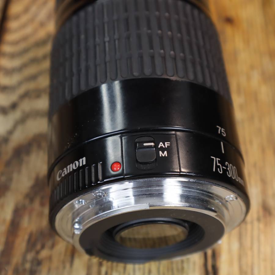 Canon EF 75-300mm f/4-5.6 Ultrasonic Lens - Pre-Owned