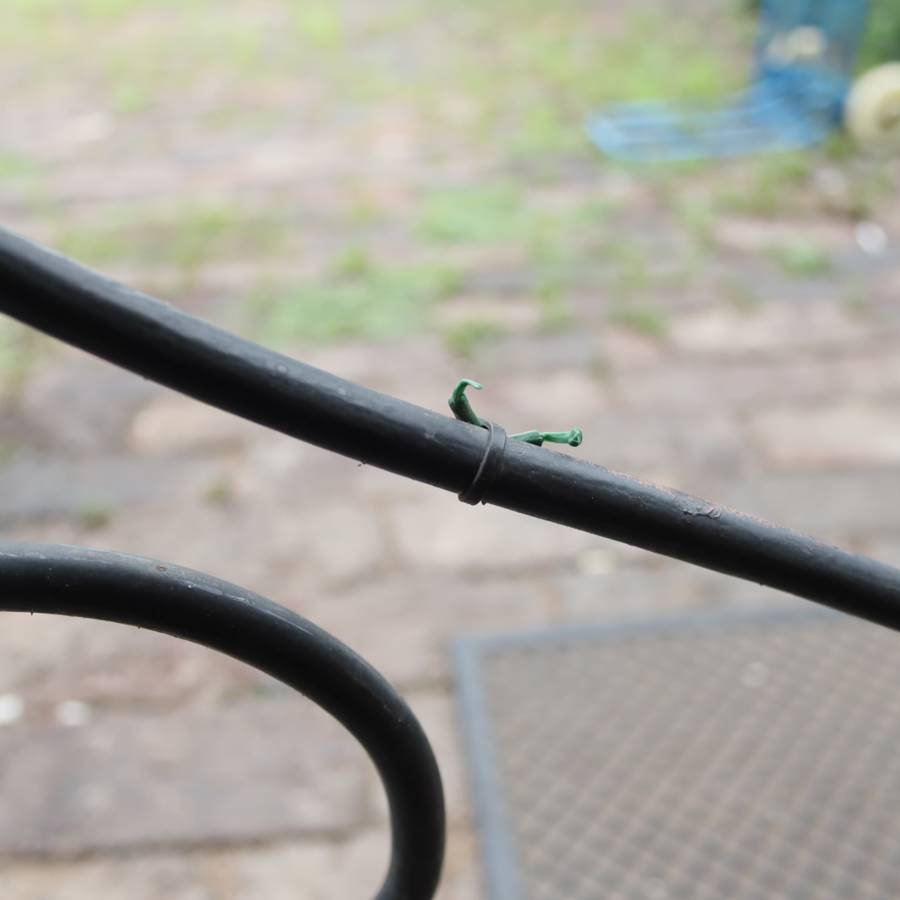 Canon EF-S Lens 18-55mm f3.5-5.5 II