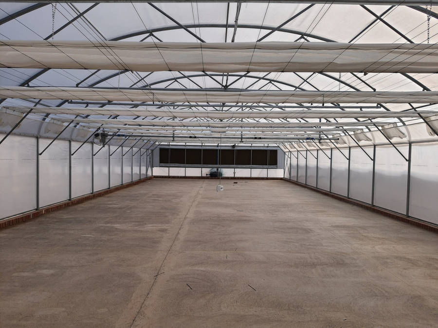 Greenhouse Plastic 11.5m x 7m